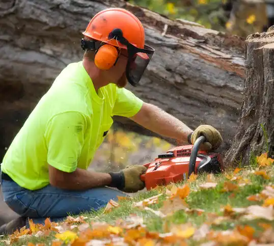 tree services Carlos